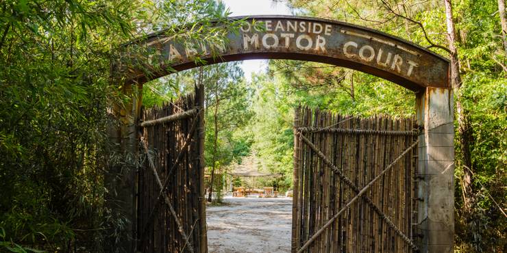 Every Walking Dead Survivor Community Ranked Every Walking Dead Survivor Community Ranked
